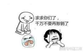 湖南企业清欠服务